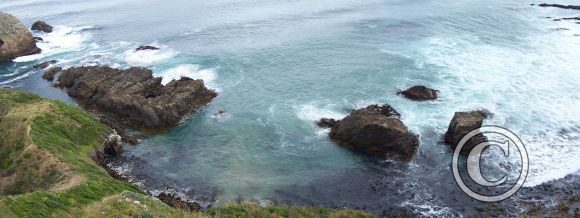 Nugget Point 10