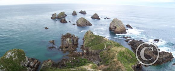 Nugget Point 11