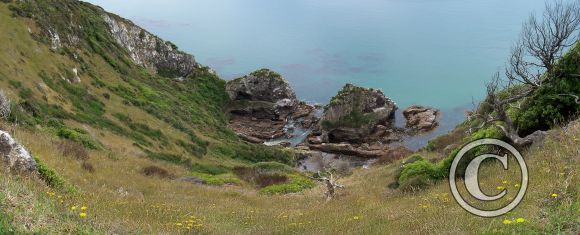 Nugget Point 3