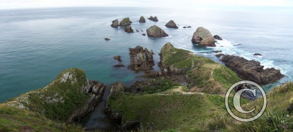 Nugget Point 7