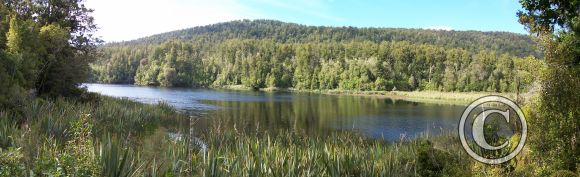 Lake Matheson 1